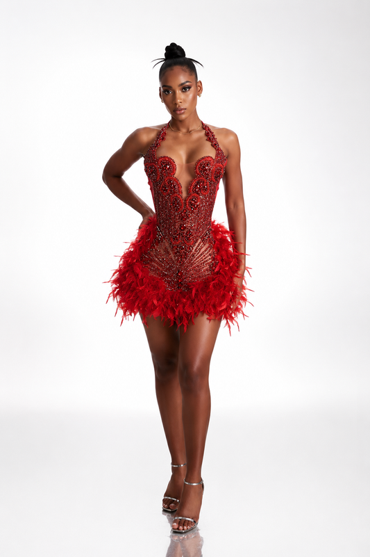 Rouge red crystal rhinestone mini dress